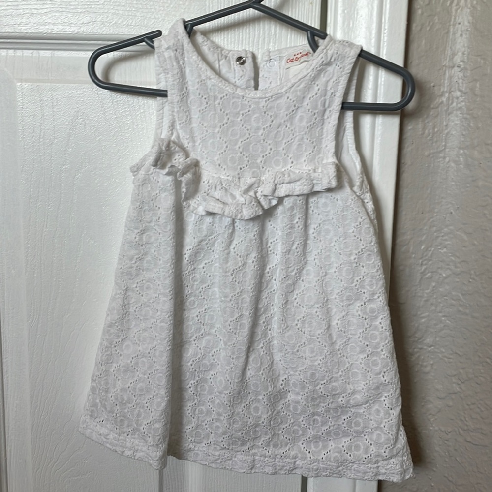 Cat and jack toddler dress